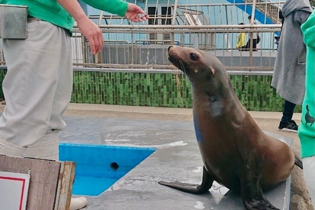 南知多ビーチランドに行ってみた 雨カッパを持って行くべし Kasoku009の雑記ブログ