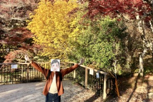 【瀬戸市】岩屋堂公園に紅葉を観に行ってみた【登山は運動靴を】