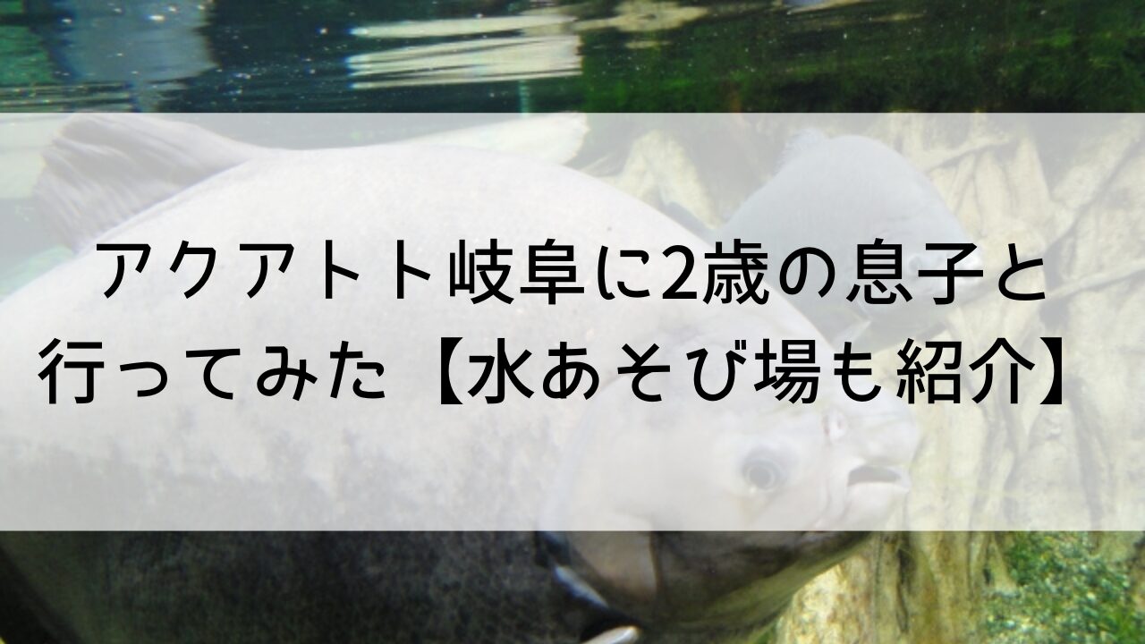 アクアトト岐阜に2歳の息子と行ってみた【水あそび場も紹介】